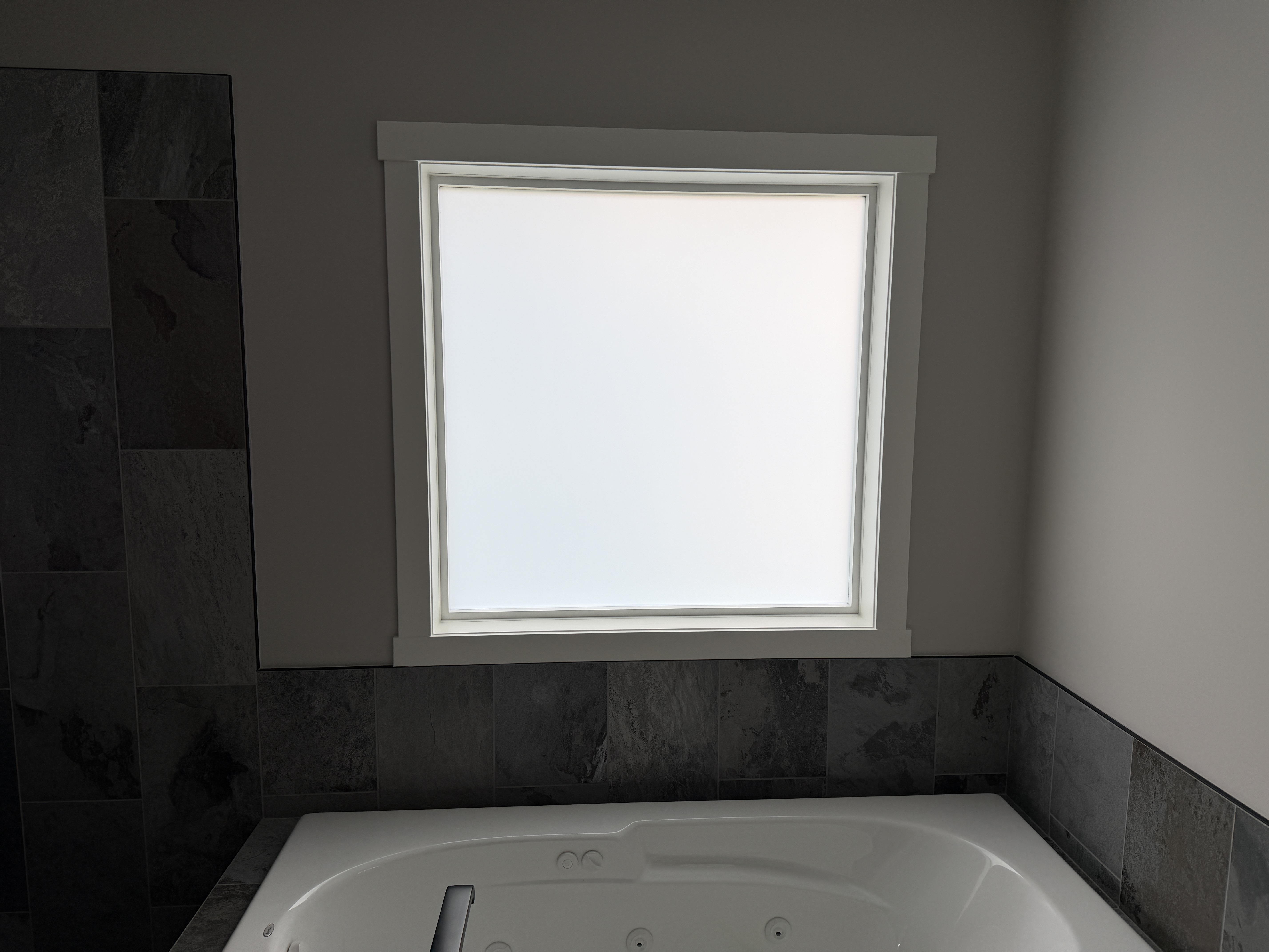 Residential Privacy Window Film